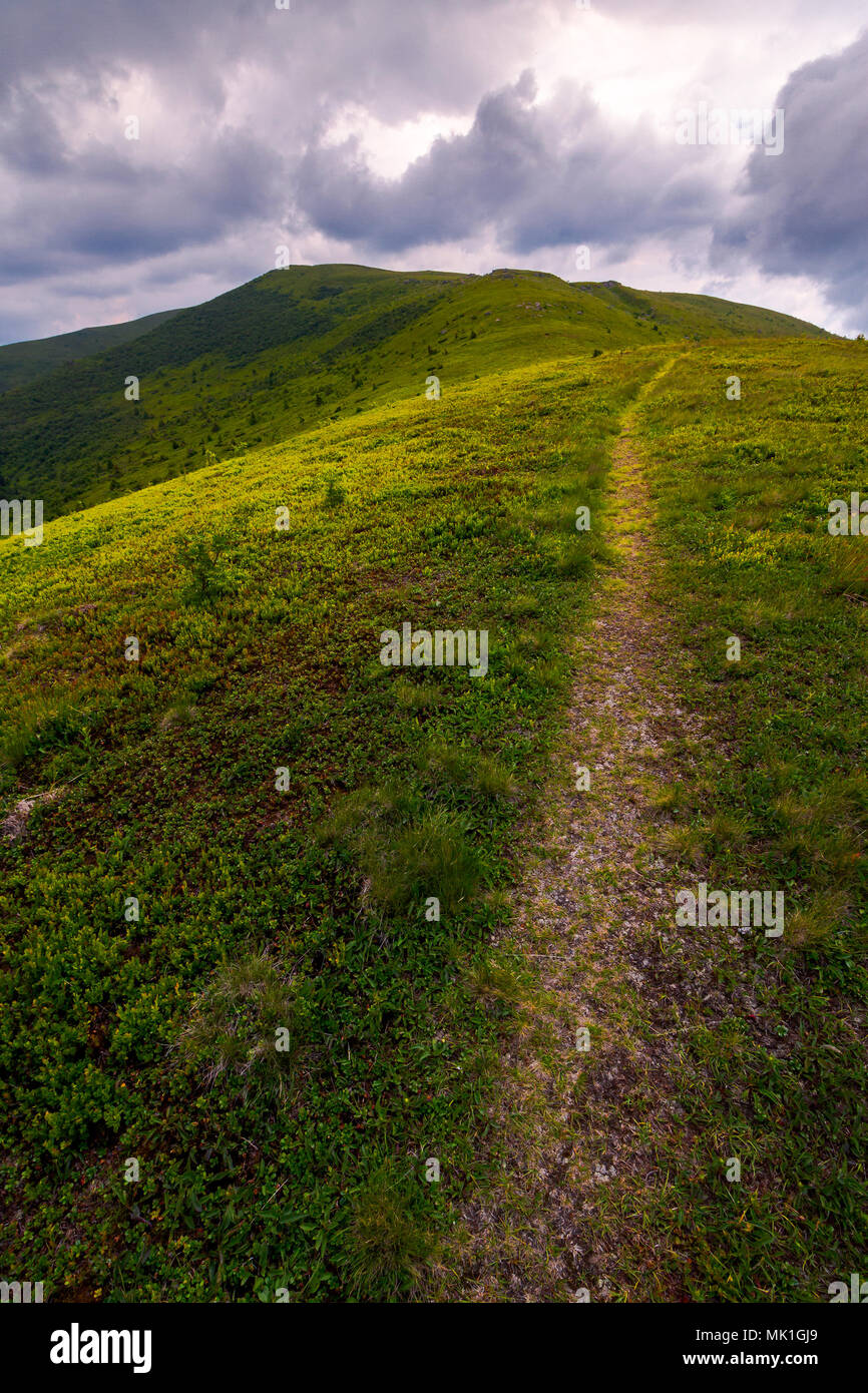 path through mountain ridge on an overcast day. lovely scenery of Runa mountain, Ukraine Stock Photo