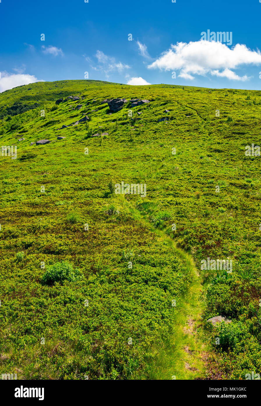 footpath through the grassy hills of the mountain. beautiful summer scenery in fine weather with some clouds on a blue sky Stock Photo