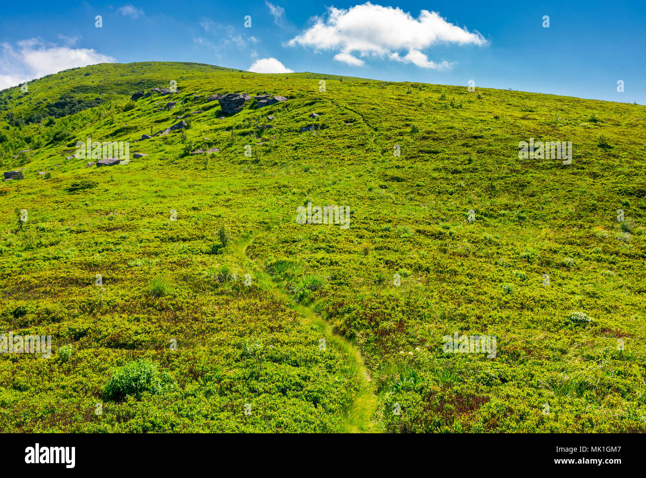 footpath through the grassy hills of the mountain. beautiful summer scenery in fine weather with some clouds on a blue sky Stock Photo