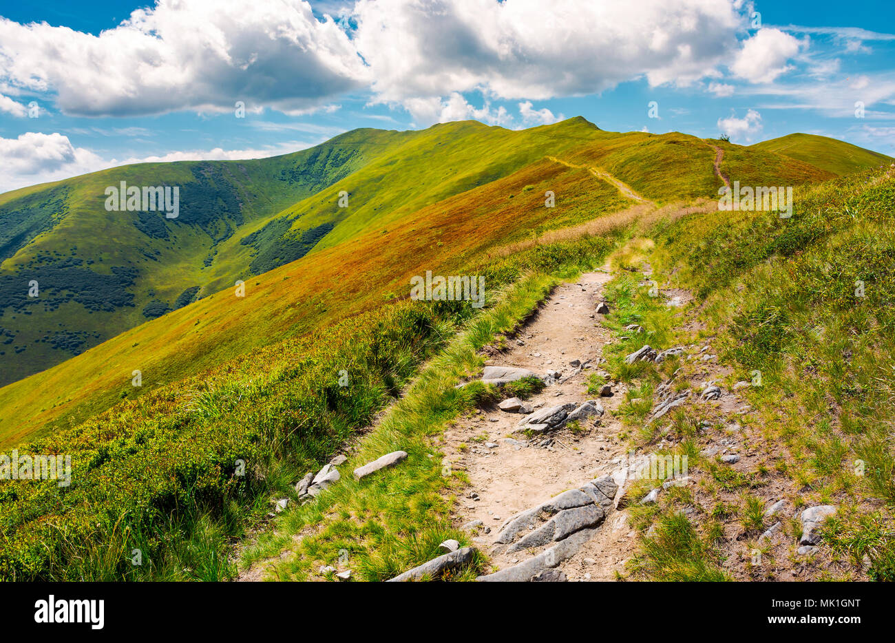 path to the top of the mountain. beautiful summer landscape. great destination to travel. location Velykyi Verkh peak of Borzhava ridge in Carpathian  Stock Photo
