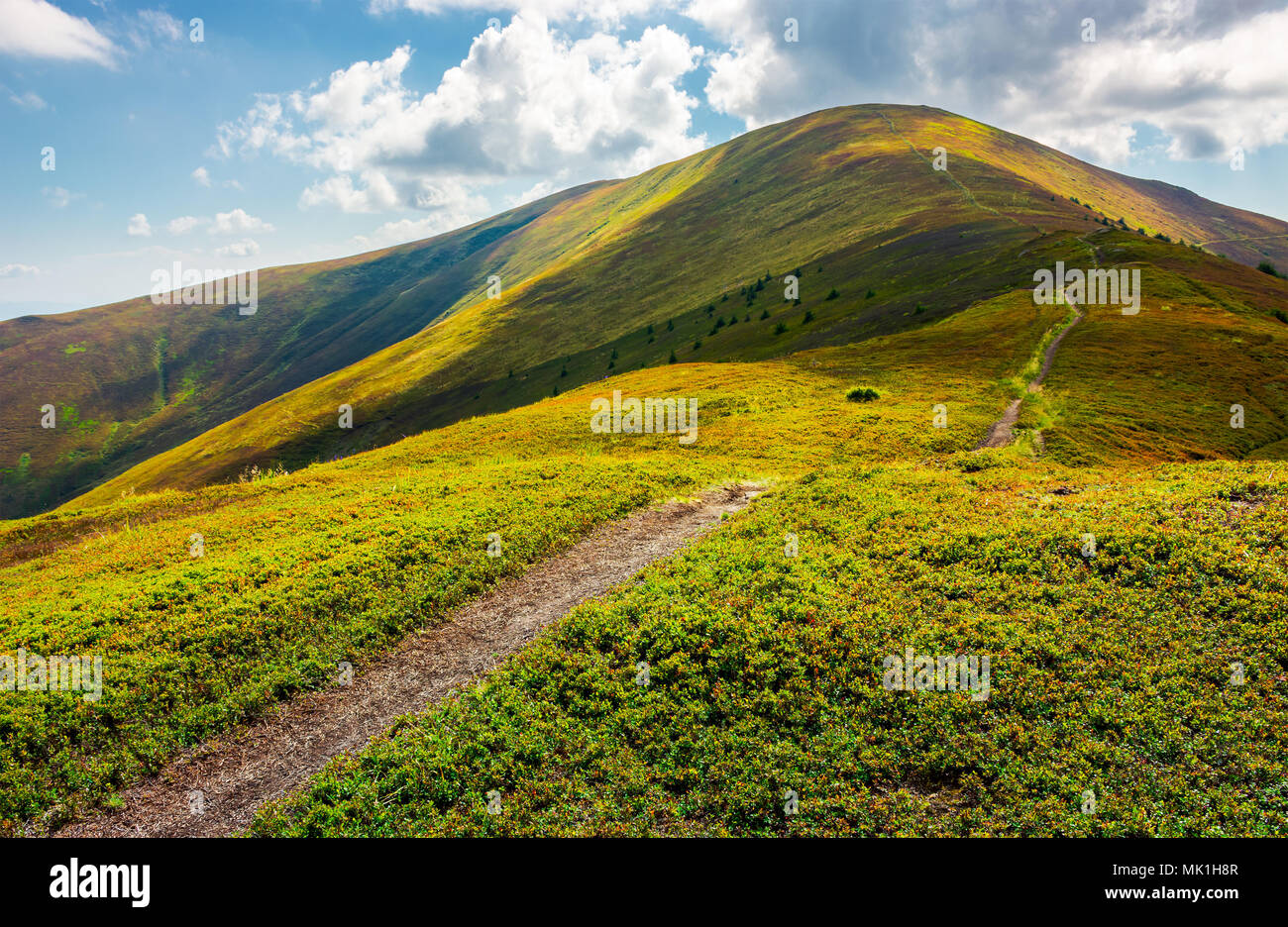 path to the top of the mountain. beautiful summer landscape. great destination to travel. location Velykyi Verkh peak of Borzhava ridge in Carpathian  Stock Photo