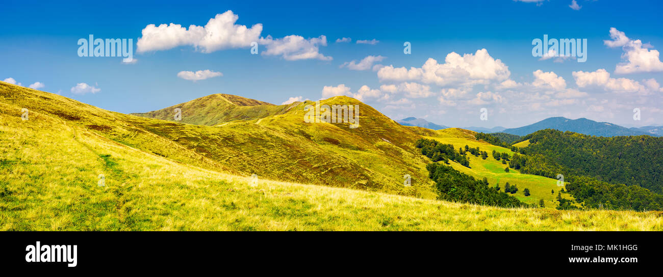 panorama of Krasna mountain ridge. beautiful landscape with grassy slopes and forested hill under the blue summer sky with fluffy clouds. location Car Stock Photo