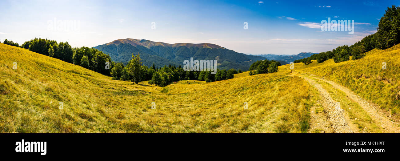 Panorama of Carpathian mountains in summer. Mountain Apetska in the distance. road through grassy meadow and forested hillsides. wonderful travel dest Stock Photo