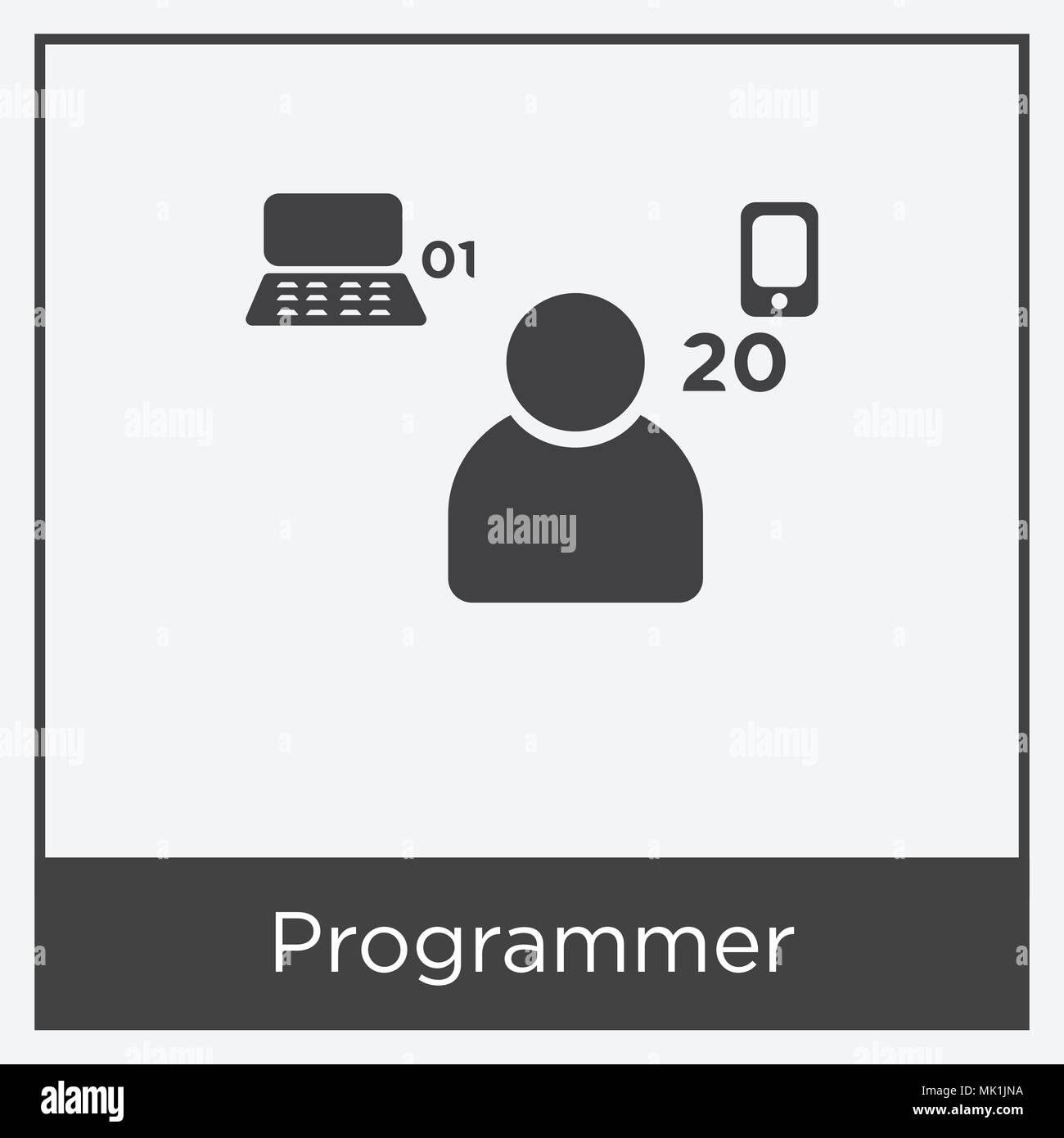 Programmer icon isolated on white background with gray frame, sign and ...