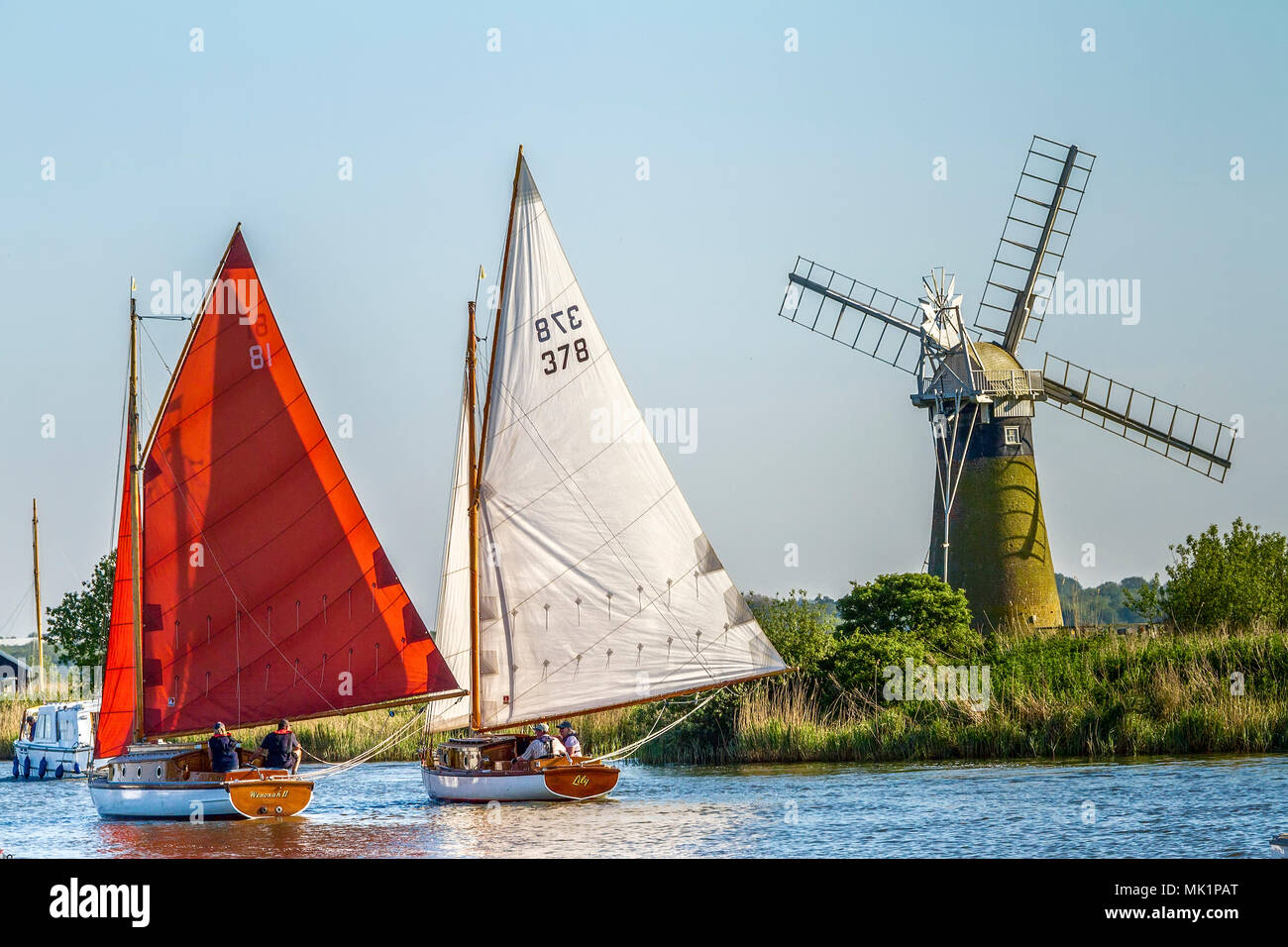 Sailing Boats On The Broads Norfolk UK Stock Photo Alamy