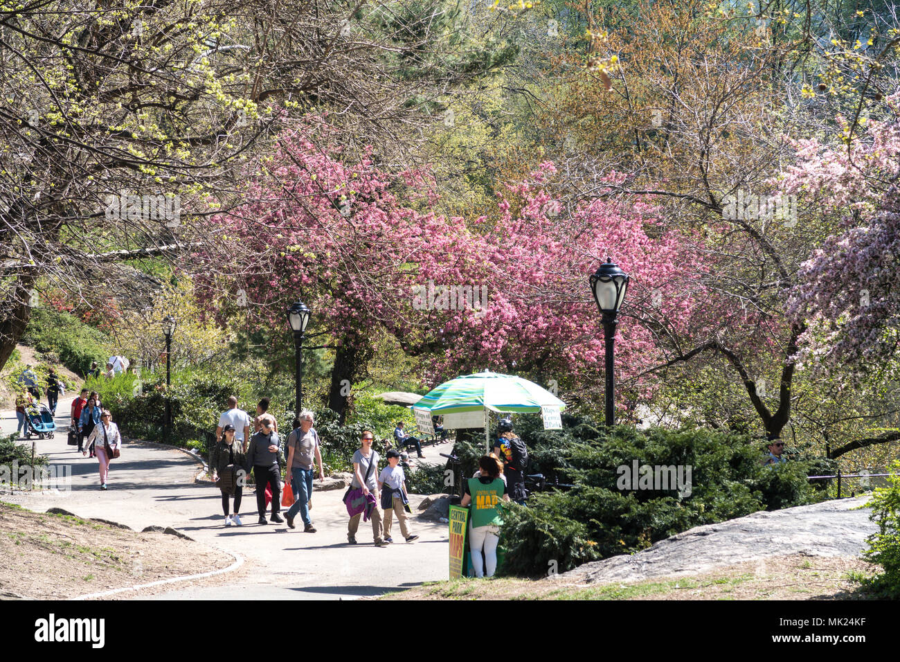 Springtime In New York Central Park in New York City is Beautiful in Springtime, NYC. USA ...