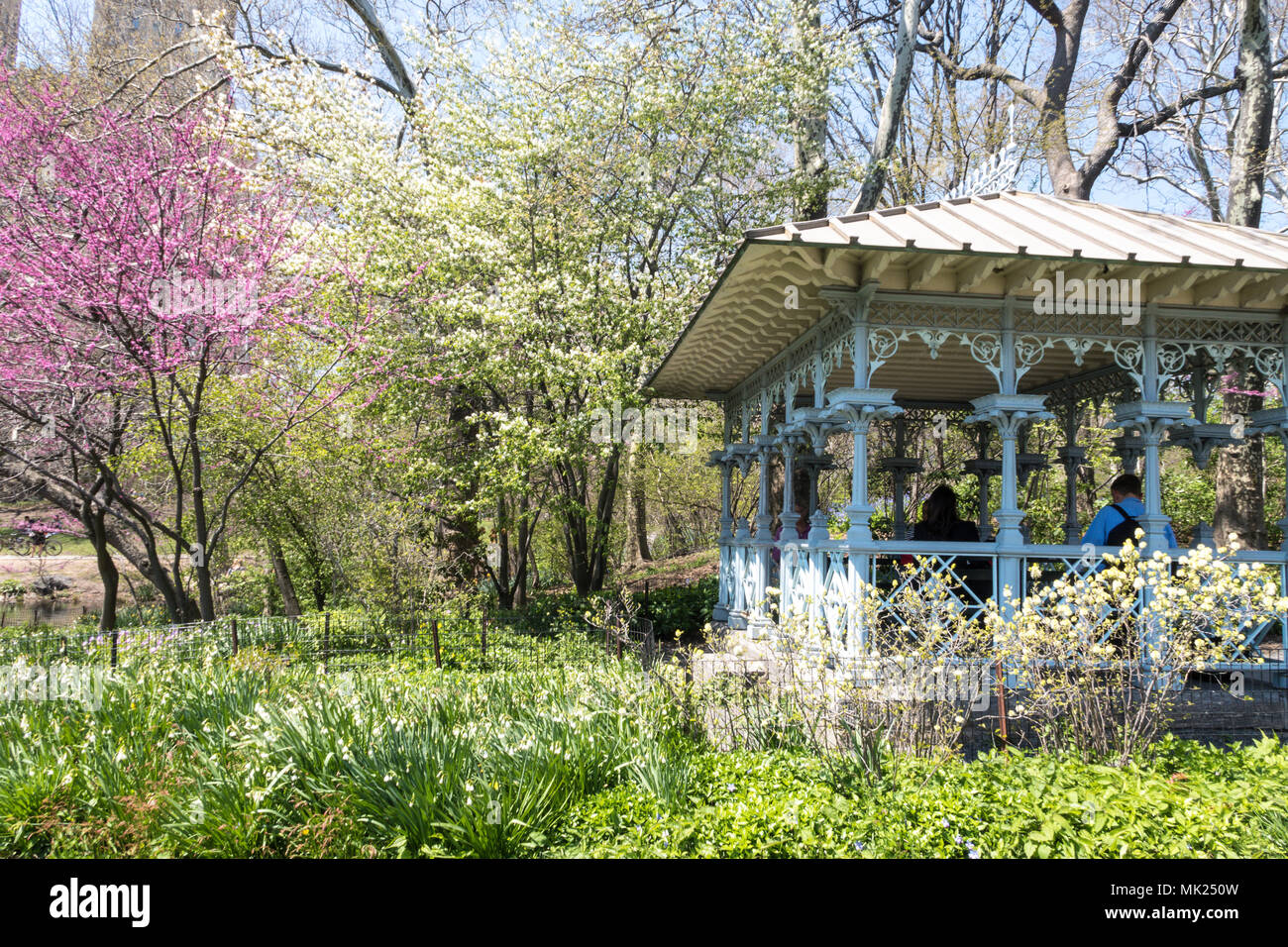 Ladies Pavilion, The Hernshead, Central Park, NYC Stock Photo Alamy