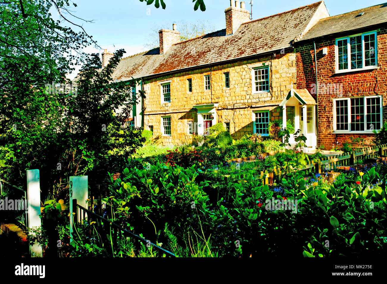 Cottages in Hartburn Village, Hartburn, Stockton on Tees, Cleveland