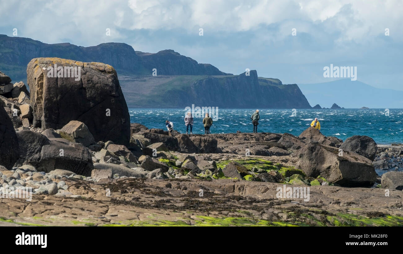 Tourists looking for fossilised dinosaur footprints on Staffin Beach, An Corran, Isle of Skye, Scotland, UK Stock Photo