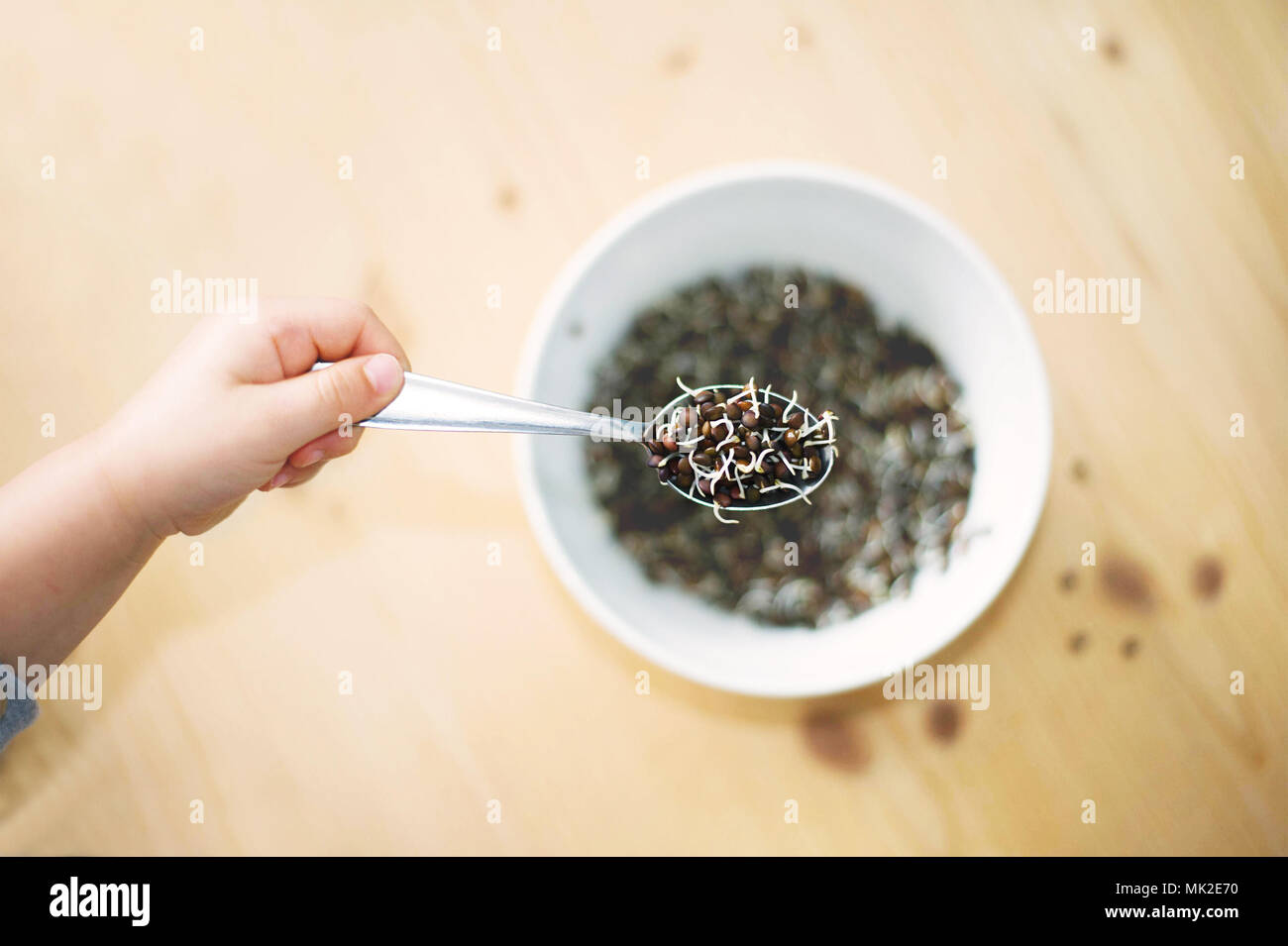 Child hand with spoon and with sprouted lens on wooden desk. Stock Photo