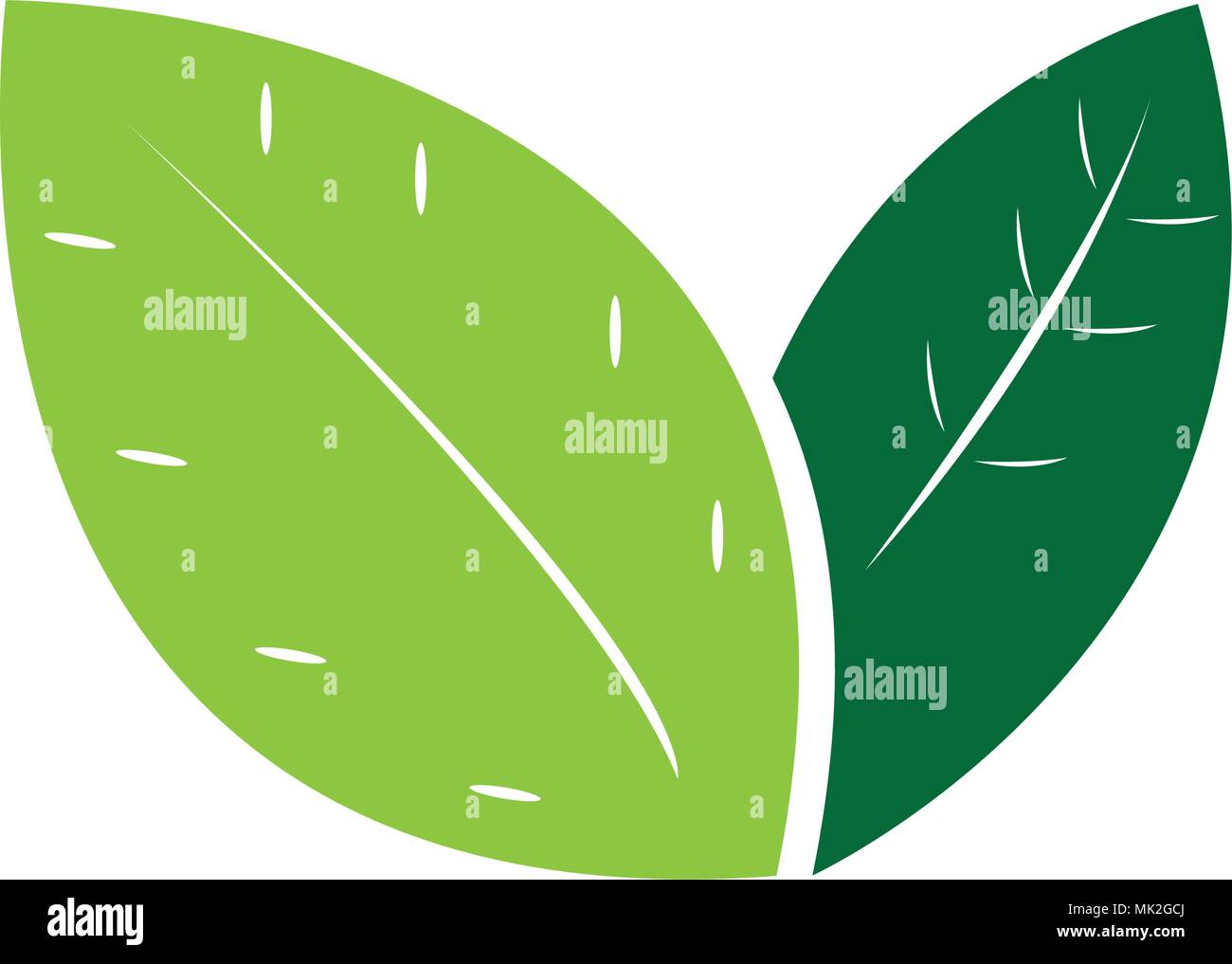 Isolated leaves icon Stock Vector Image & Art - Alamy