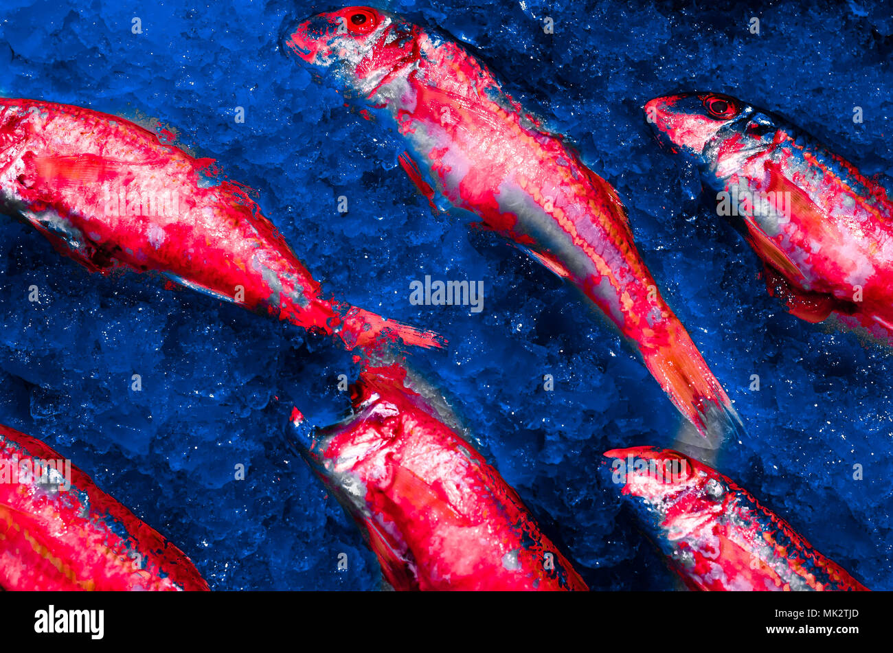 Colorful illustration of fresh fish on a market stall Stock Photo