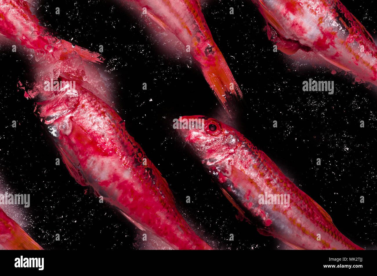 Colorful illustration of fresh fish on a market stall Stock Photo
