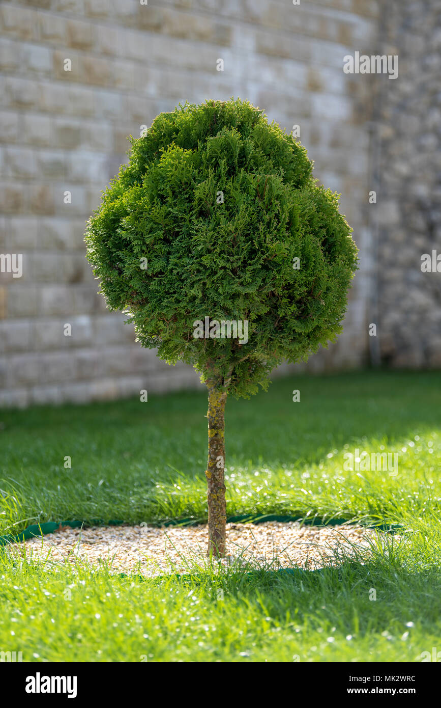 Home house landscape design landscaping lawn hires stock photography