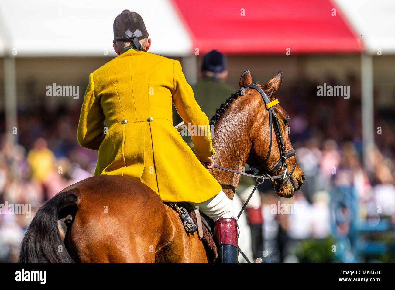 Gloucestershire, UK. 6th May 2018. Showjumping. Day 4. Duke of Beaufort Hunt.  Mitsubishi Badminton Horse Trials. Badminton. UK.  06/05/2018. Credit: Sport In Pictures/Alamy Live News Stock Photo
