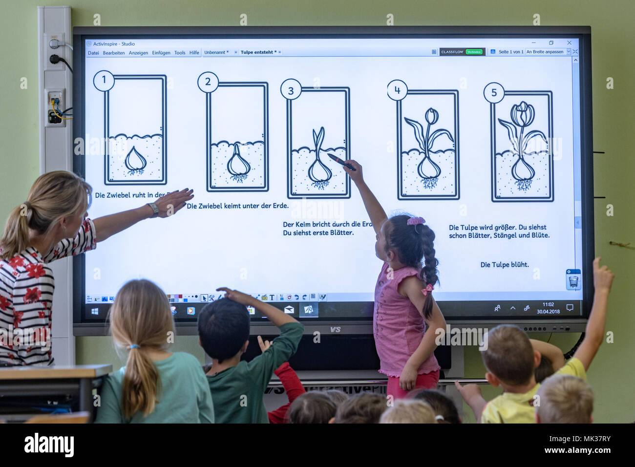 interactive whiteboards in primary schools