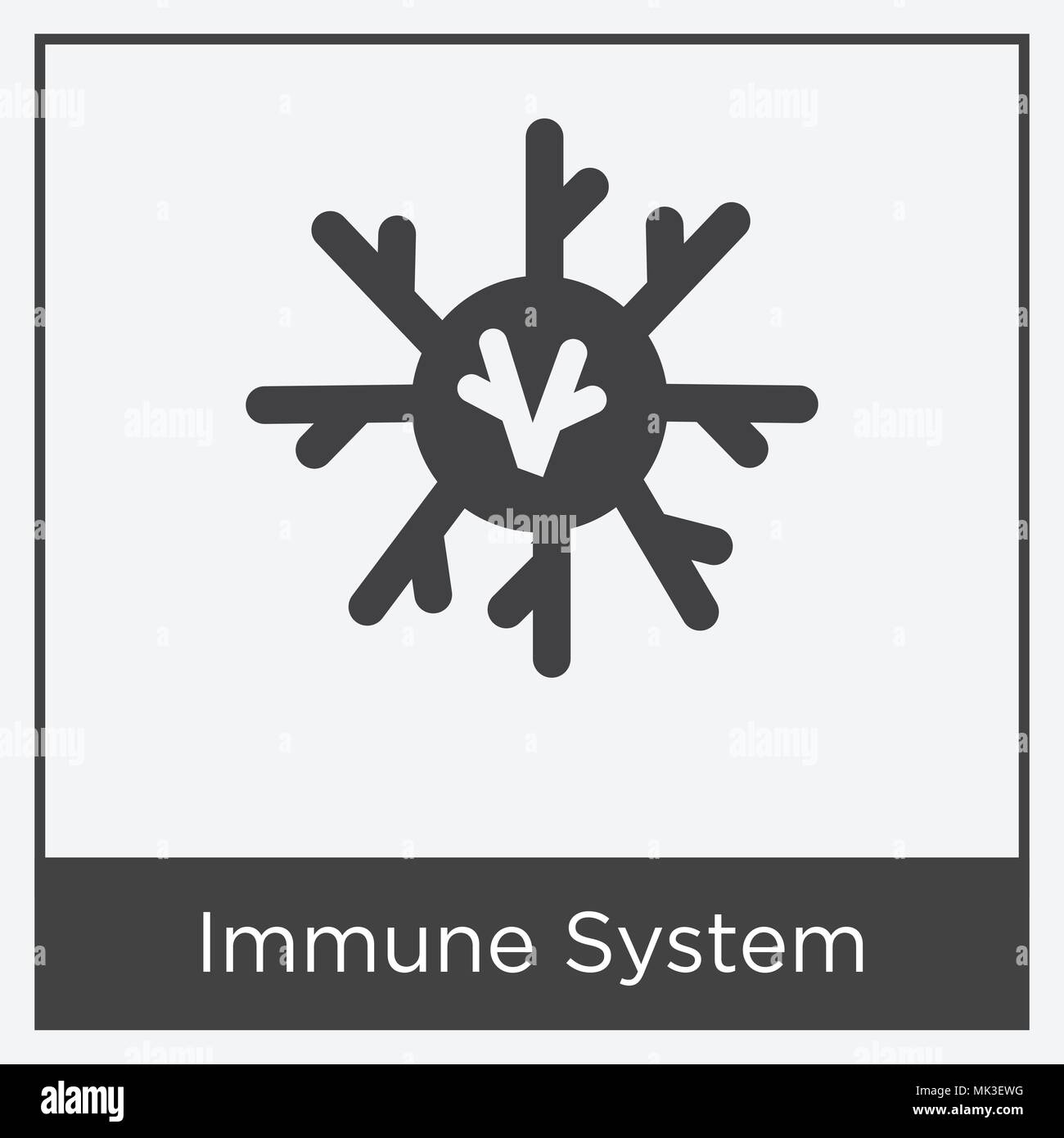 Immune System icon isolated on white background with gray frame, sign ...