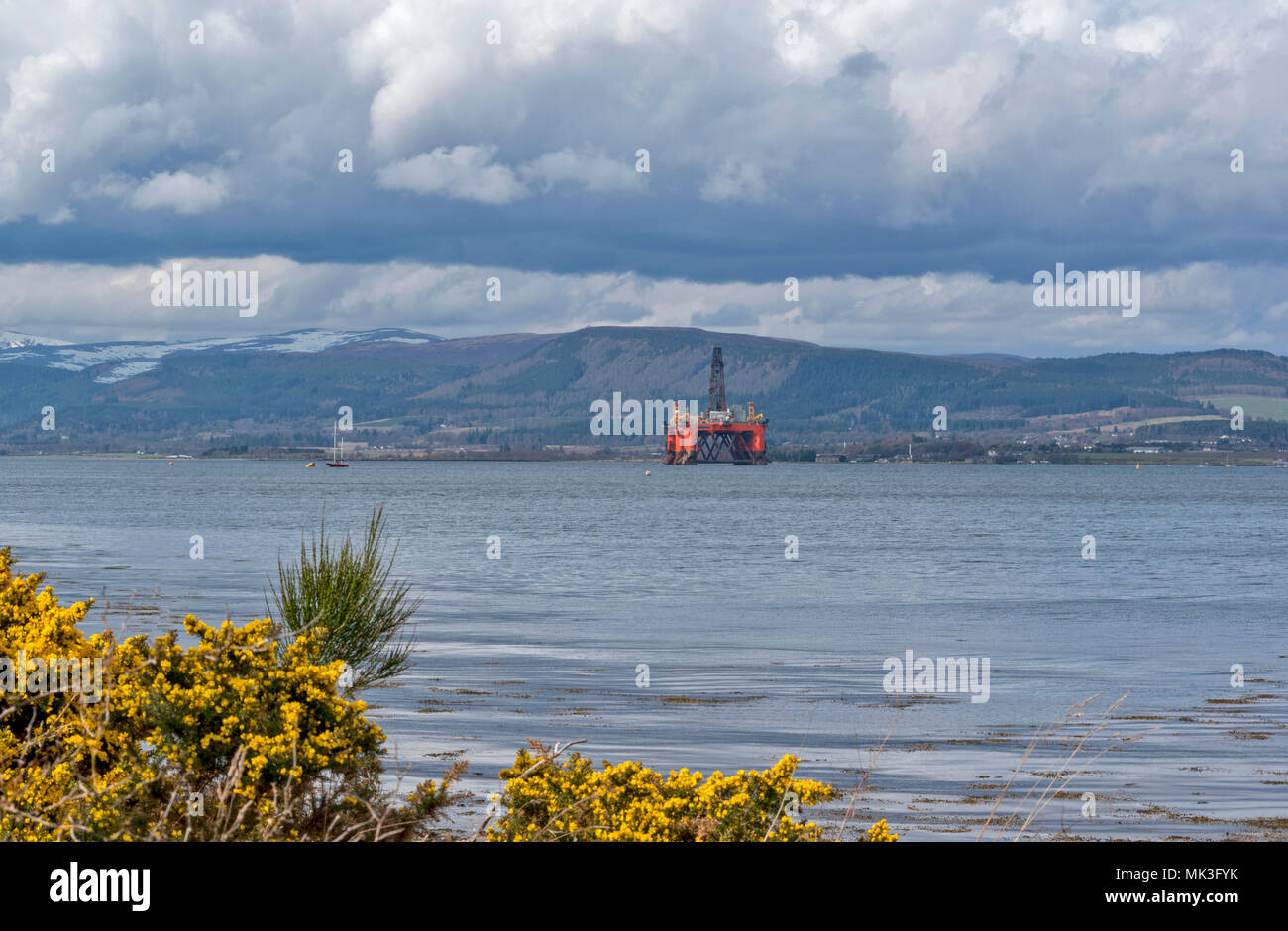 CROMARTY FIRTH SCOTLAND DECOMMISSIONED OR REPAIRED ORANGE OIL RIG WITH SNOW ON THE HILLS AND YELLOW GORSE FLOWERS Stock Photo