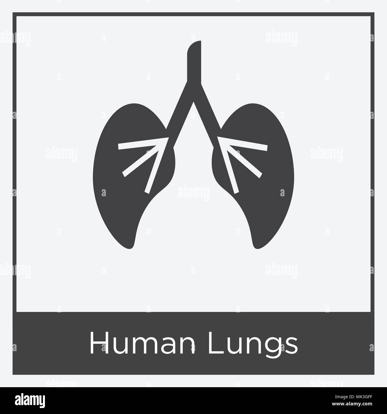 Human Lungs icon isolated on white background with gray frame, sign and ...
