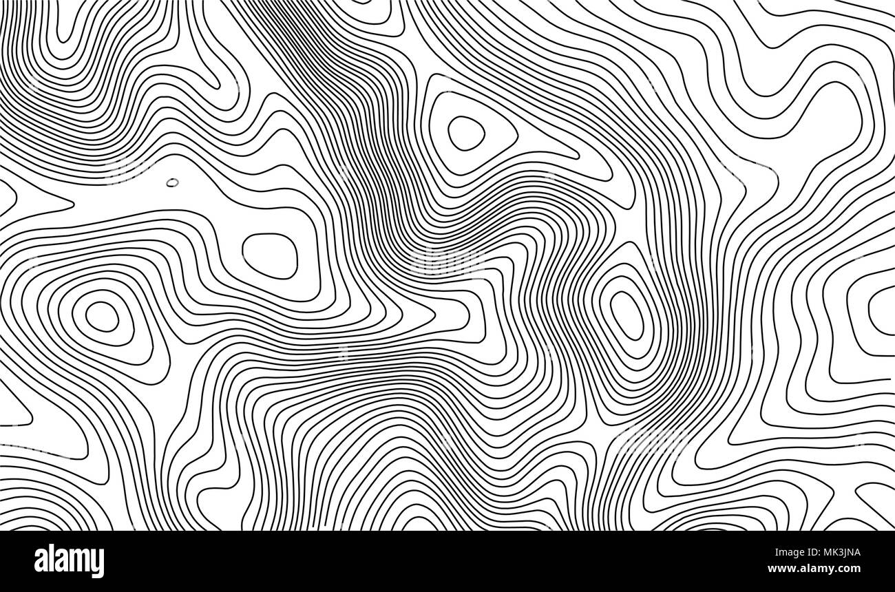 Topographic map contour background. Topo map with elevation. Contour