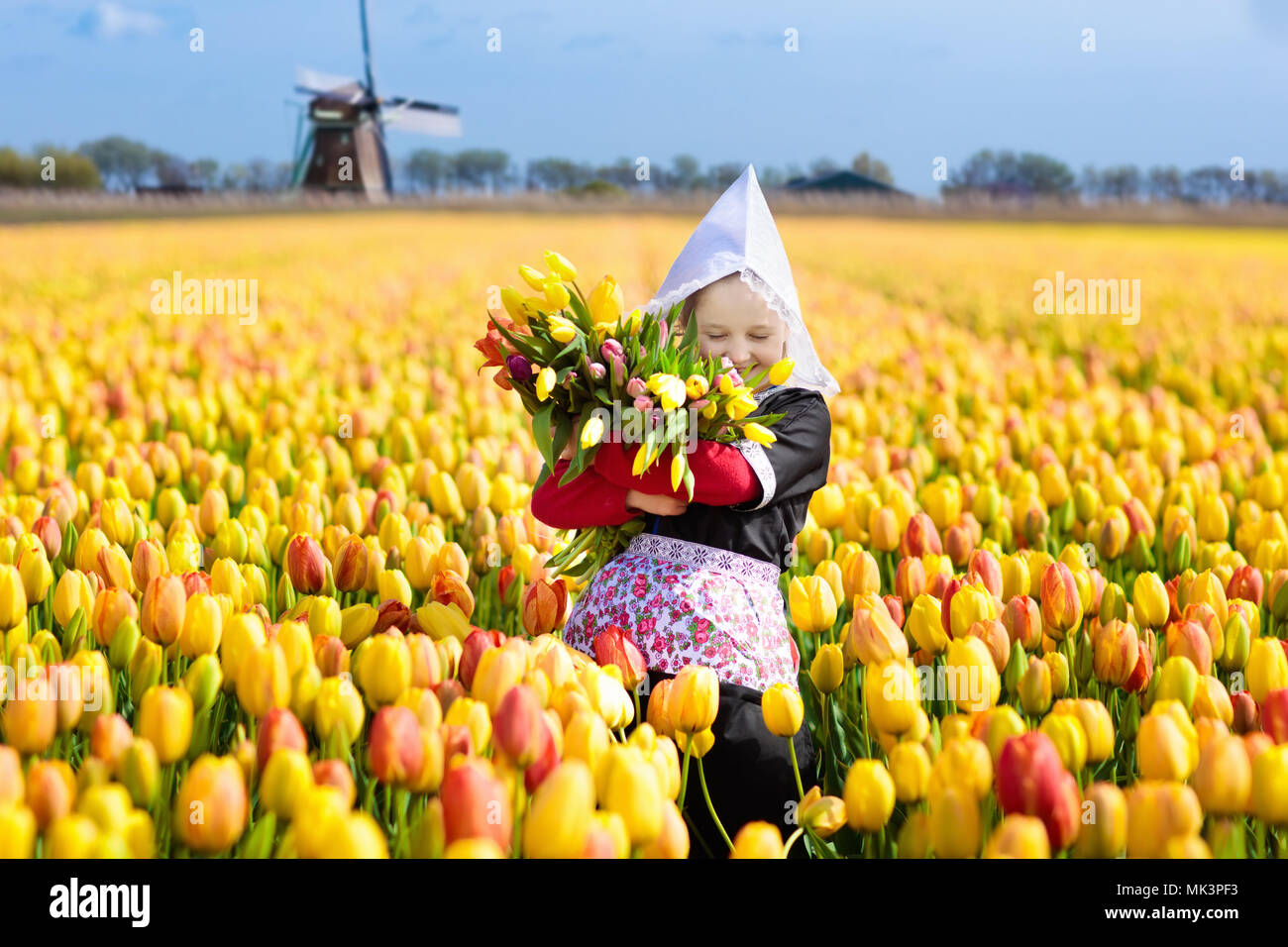 Child in tulip flower field with windmill in Holland. Little Dutch girl ...