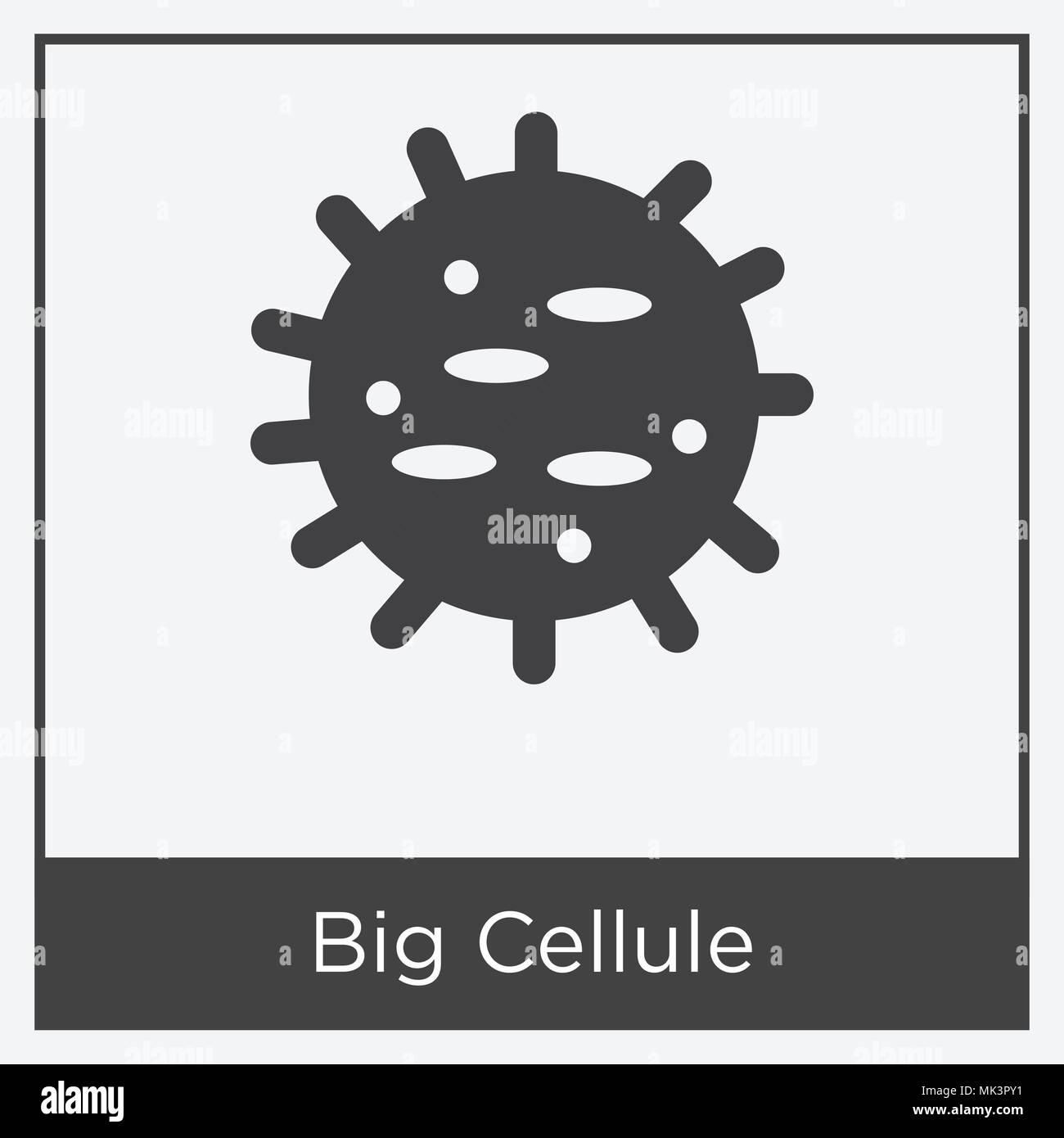 Cellule High Resolution Stock Photography and Images Alamy