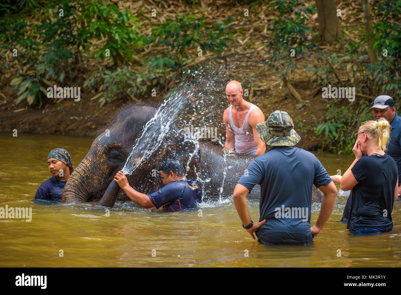 People bathing with a baby elephant Stock Photo