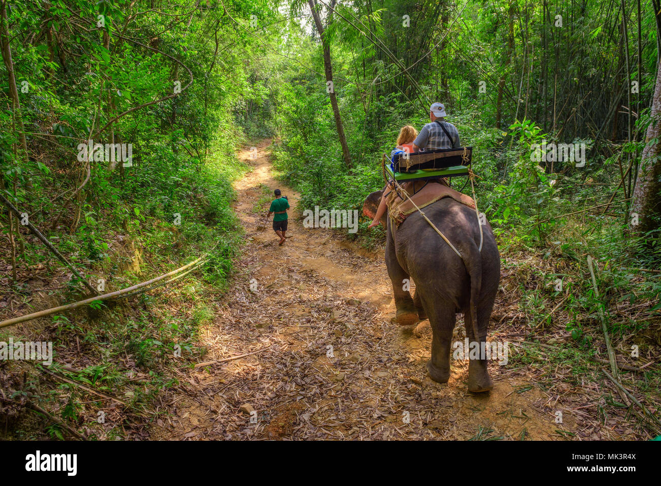 Tourists riding an elephant in Thailand Stock Photo