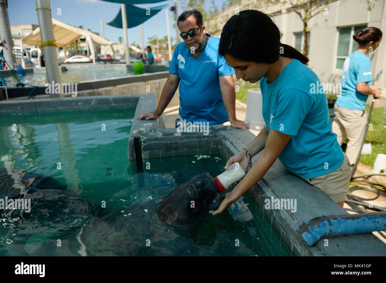 Manatee conversation center hi-res stock photography and images - Alamy