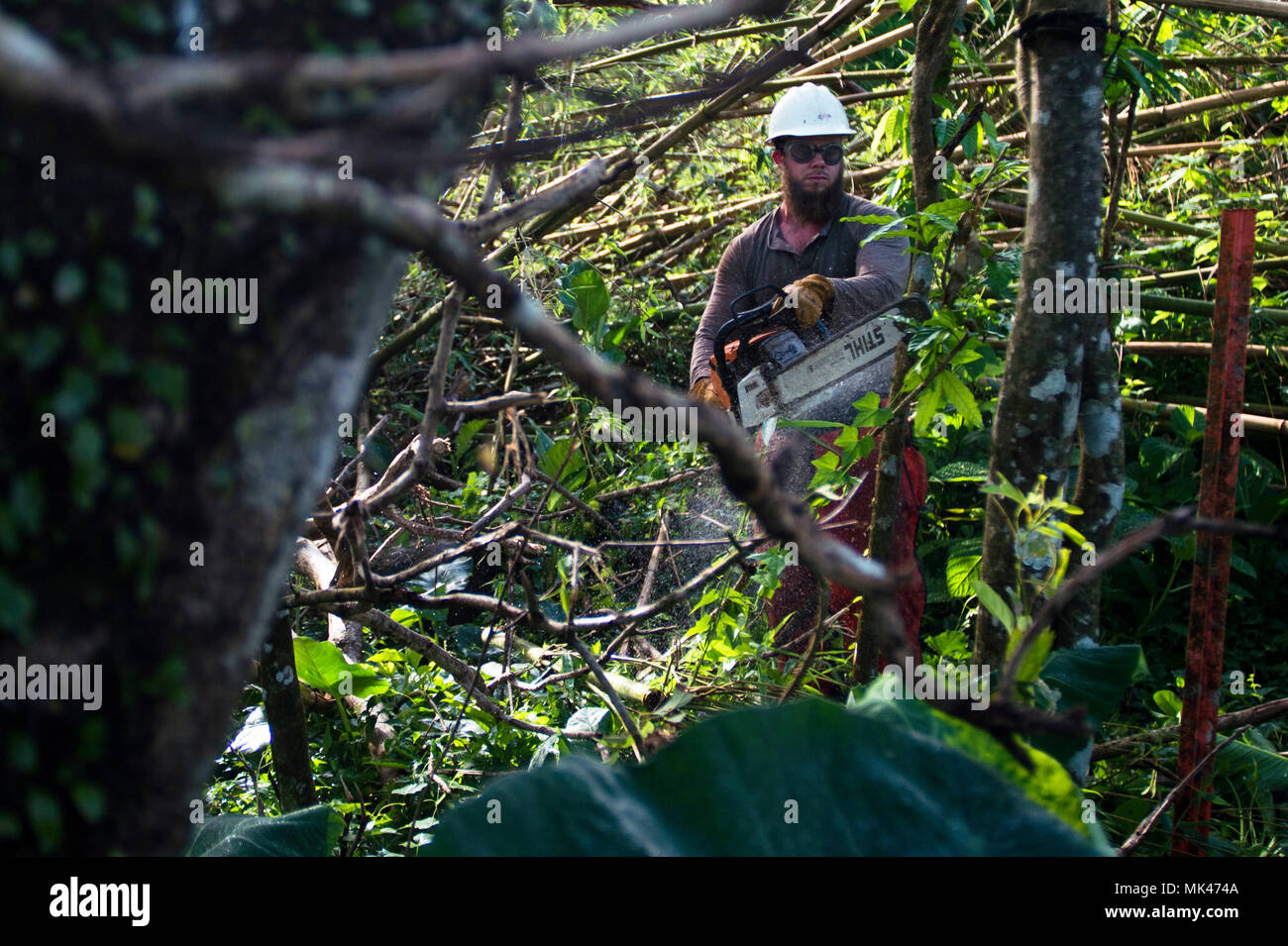 Smokejumper hires stock photography and images Alamy