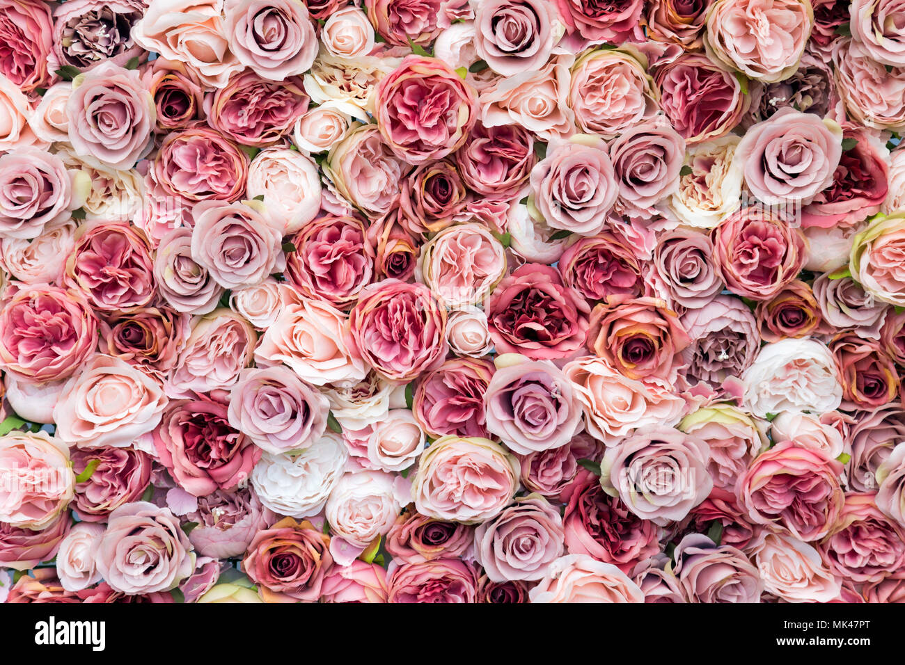 Discover New and Different Pink Backgrounds for Your Desktop and Phone