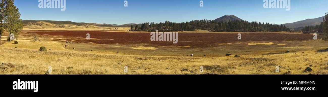 Wide Panoramic Landscape Scenic View of Alpine Meadows and Natural Grassland in Cuyamaca Rancho State Park San Diego County East on a sunny winter day Stock Photo