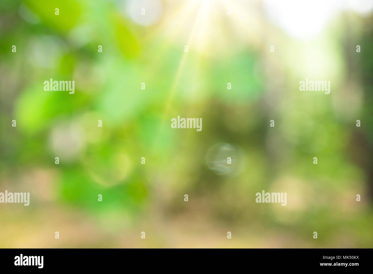 Blur bokeh background Stock Photo - Alamy