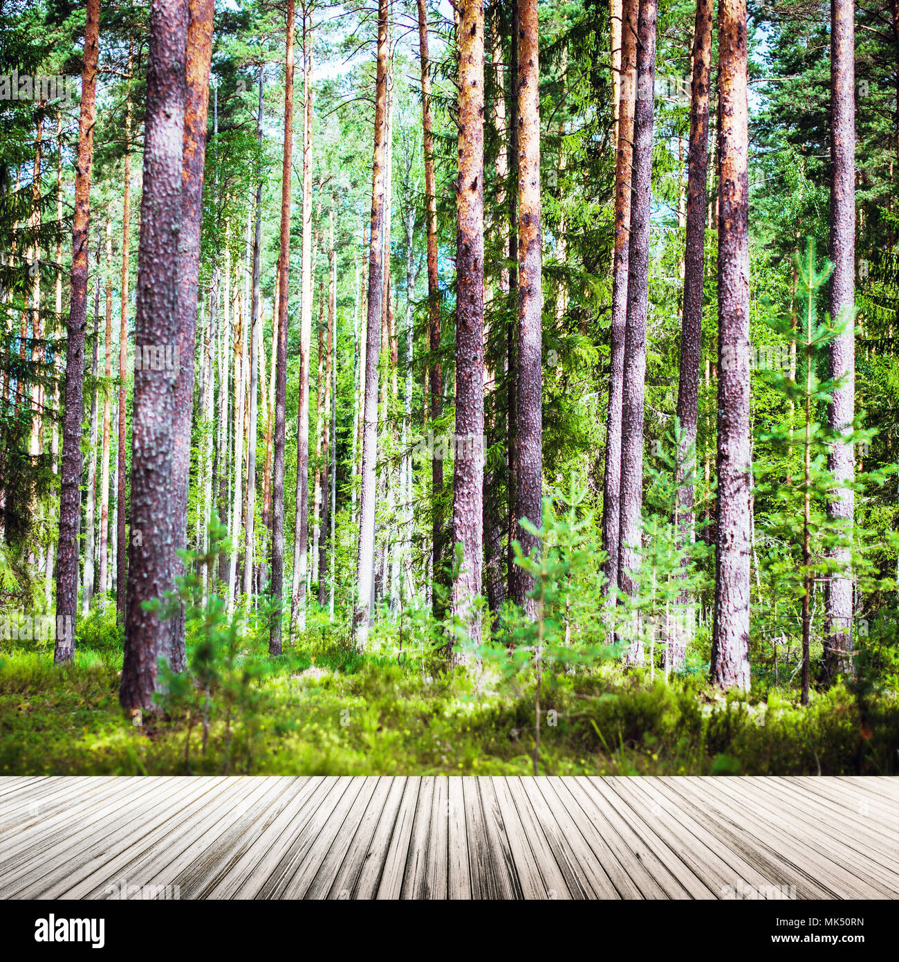 Beauty of green hi-res stock photography and images - Alamy