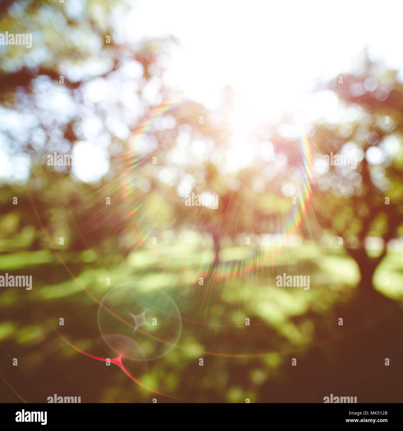 Summer blur bokeh background Stock Photo
