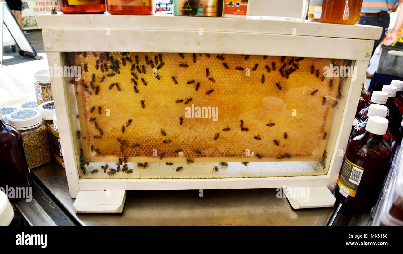 GLASS BEE HIVE AT A MARKET Stock Photo - Alamy