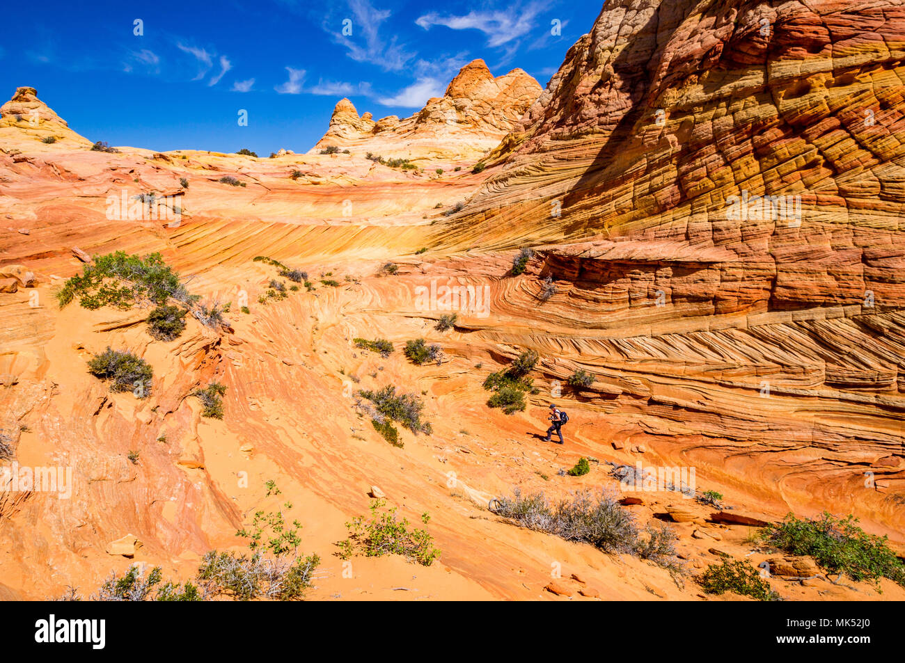 Colorful Sandstone Formations Cottonwood Access Area South Coyote colorful-sandstone-formations-cottonwood-access-area-south-coyote