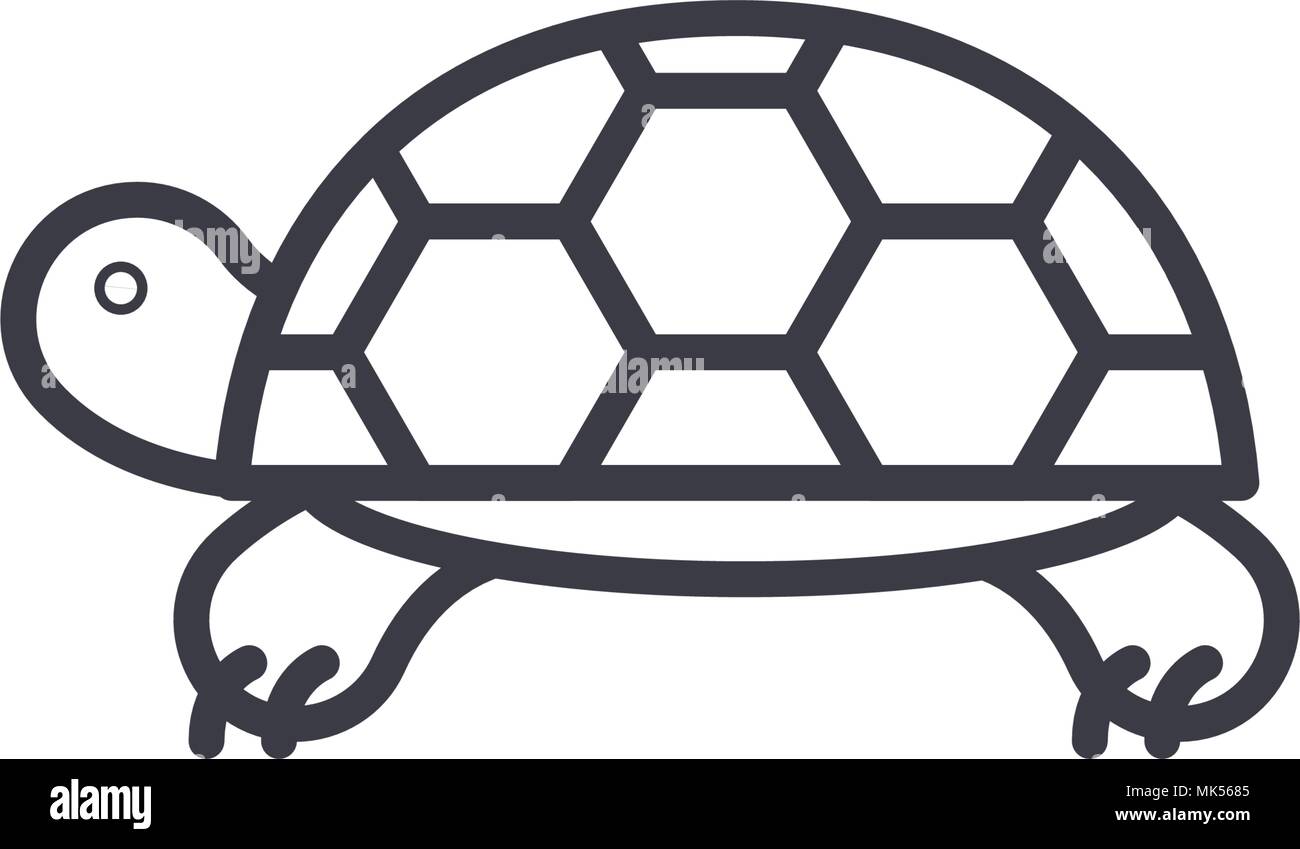 turtle vector line icon, sign, illustration on background, editable ...
