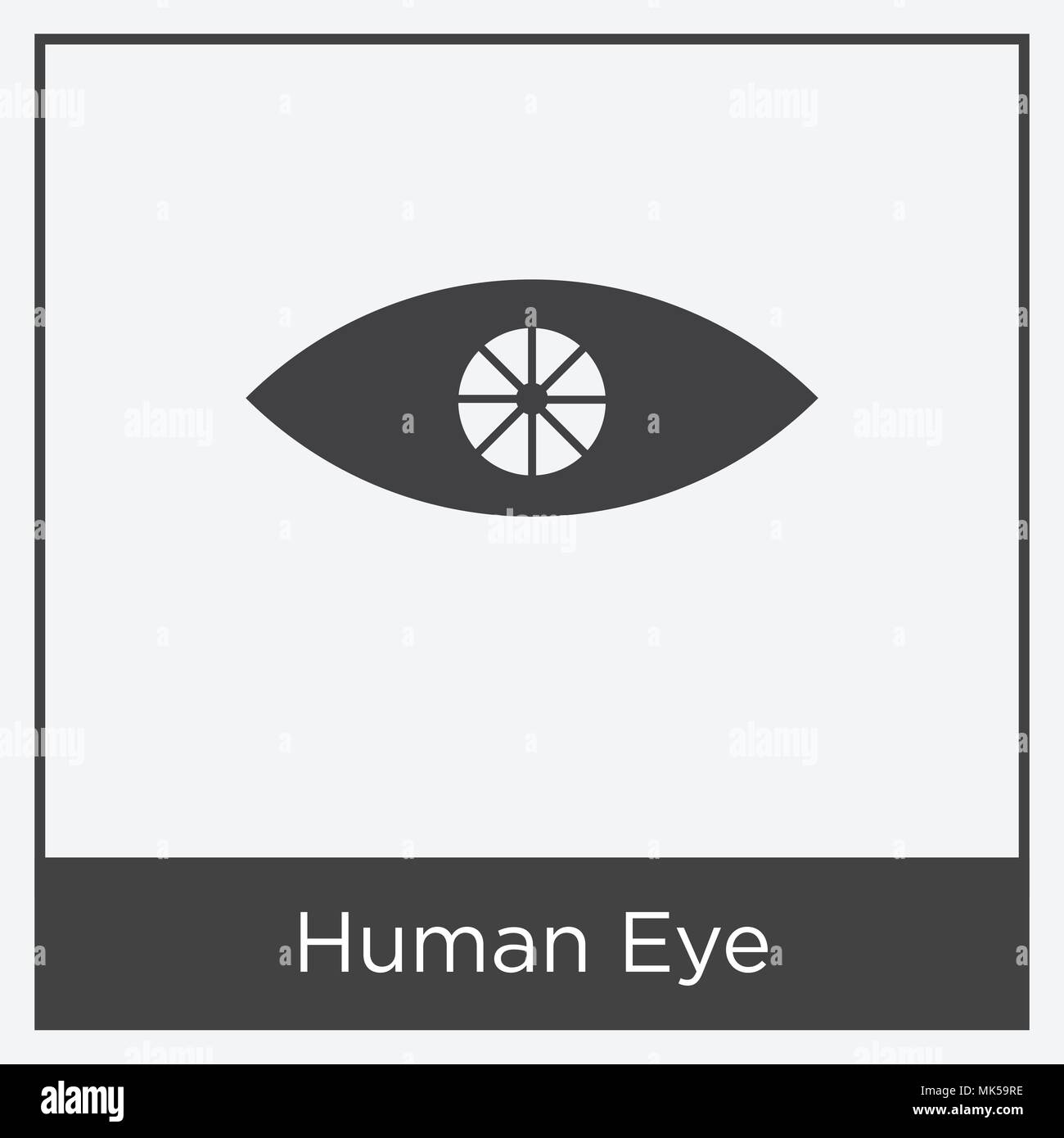 Human Eye icon isolated on white background with gray frame, sign and ...