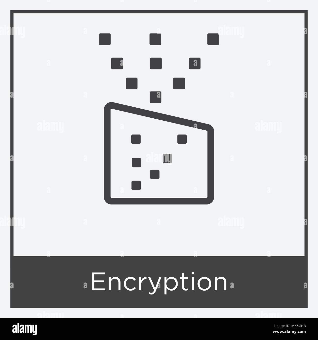 Encryption icon isolated on white background with gray frame, sign and ...