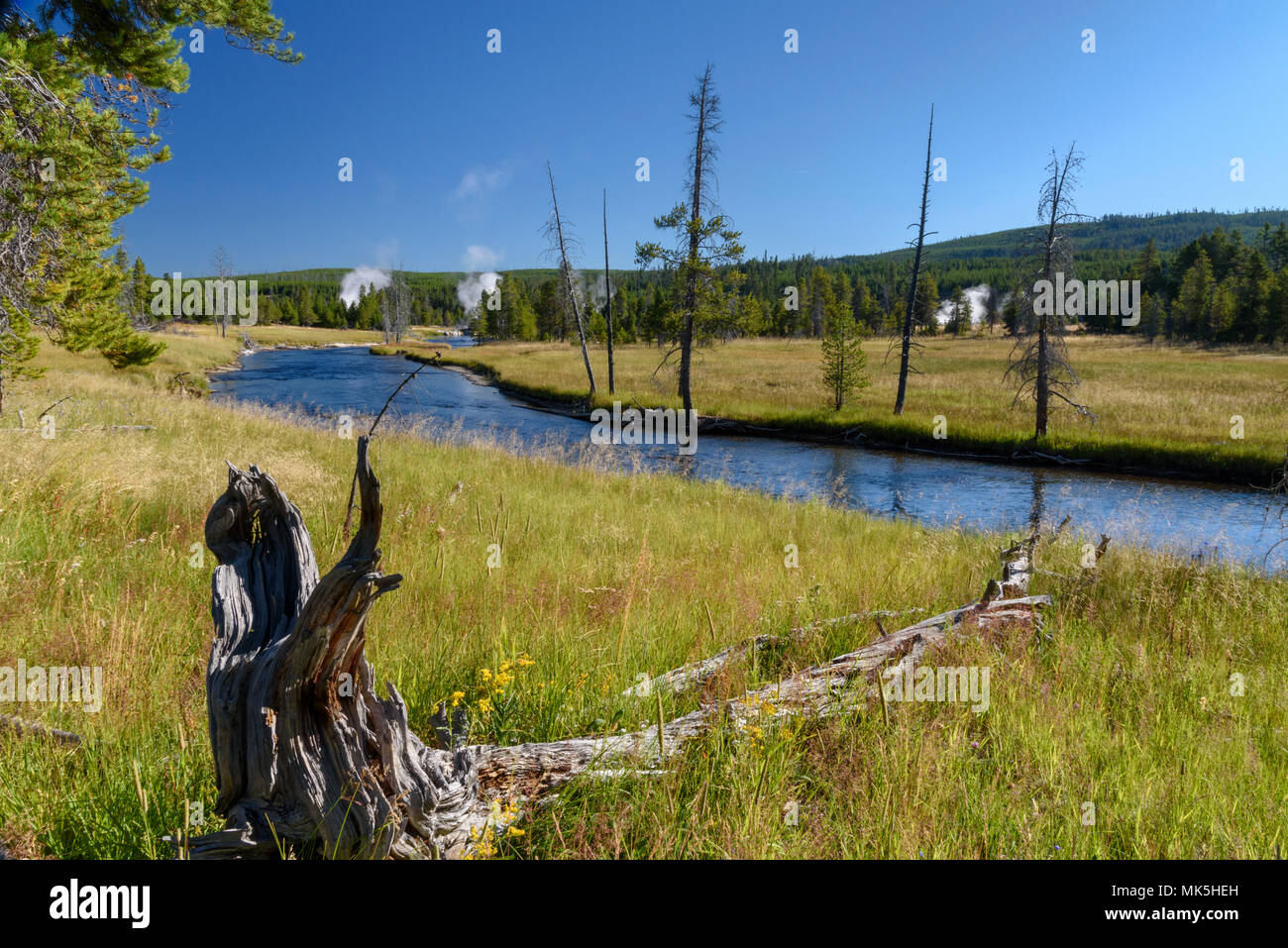 Base of a dead treen pointing towards a river surrounded by green grassy meadows with green forest covering the hills under a clear blue sky. Stock Photo