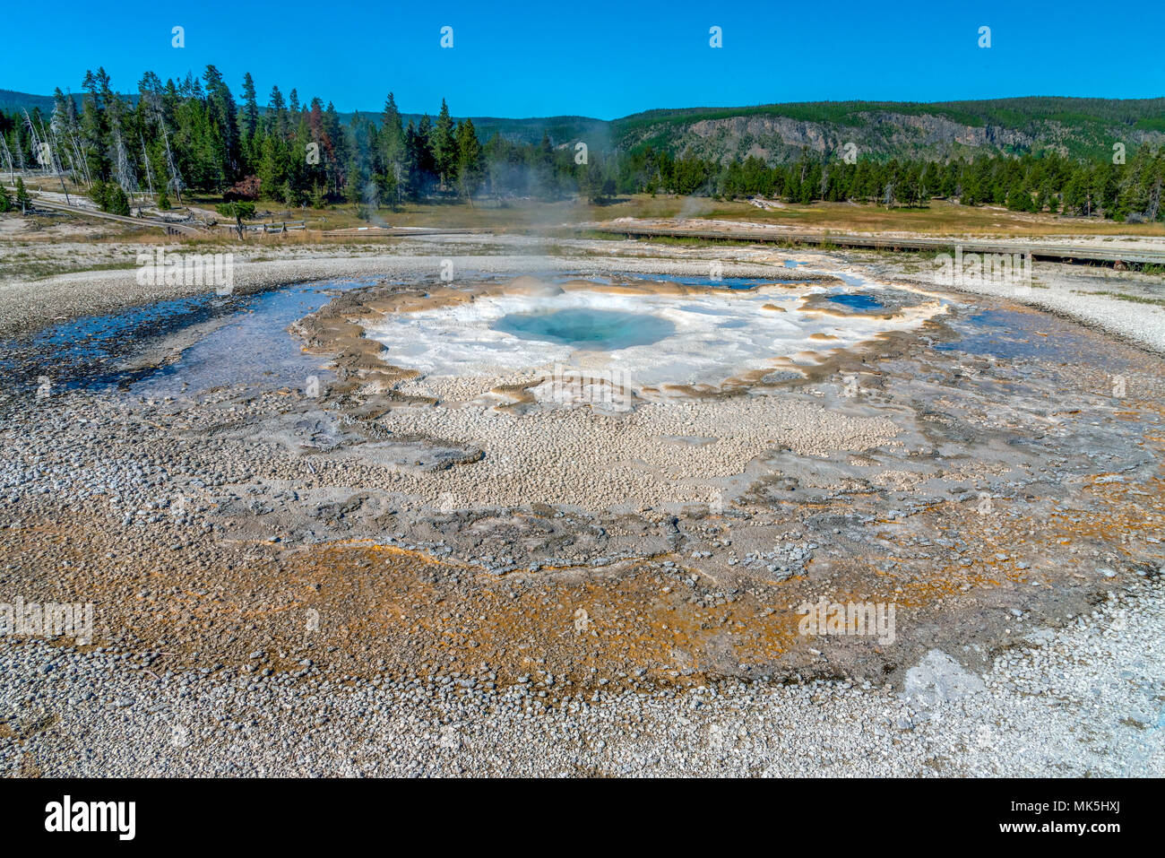 Bright blue hot springs in middle of barren field, with forest under bright blue sky. Stock Photo