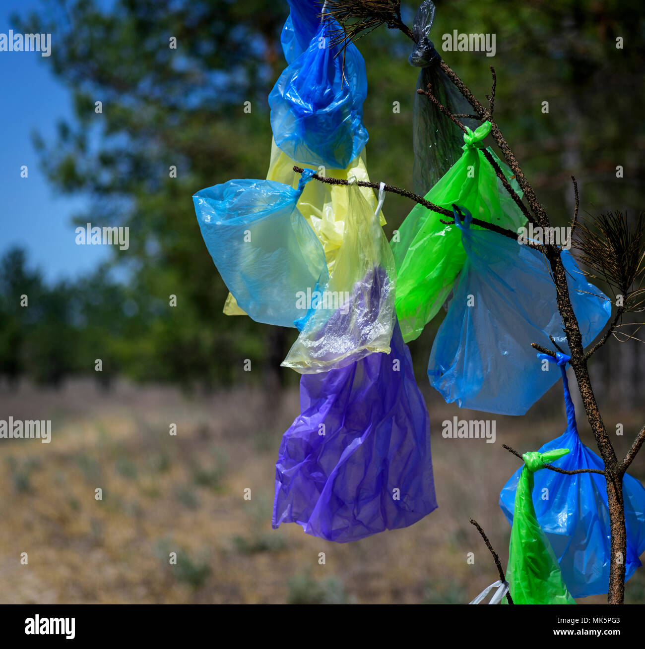 https://c8.alamy.com/comp/MK5PG3/many-multicolored-plastic-bags-hanging-on-a-pine-branch-against-a-background-of-green-forest-on-a-summer-day-the-concept-of-pollution-of-the-environm-MK5PG3.jpg