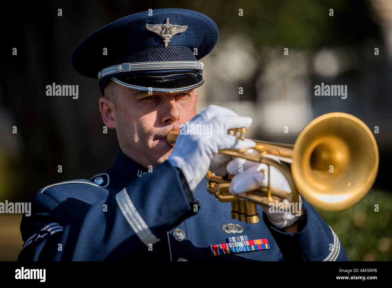 Taps veterans day ceremony