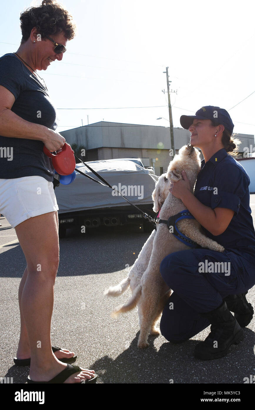 Ensign Hannah Heichen, a crewmember aboard the Coast Guard Cutter Venturous, is welcomed home by her dogs, Charlie and Zoe, and her mother Emma Grynbal in St. Petersburg, Florida, Nov. 13, 2017. The Venturous crew returned home after a 69-day patrol conducting hurricane relief and law enforcement operations in the Caribbean Sea. (U.S. Coast Guard photo by Petty Officer 2nd Class Ashley J. Johnson.) Stock Photo