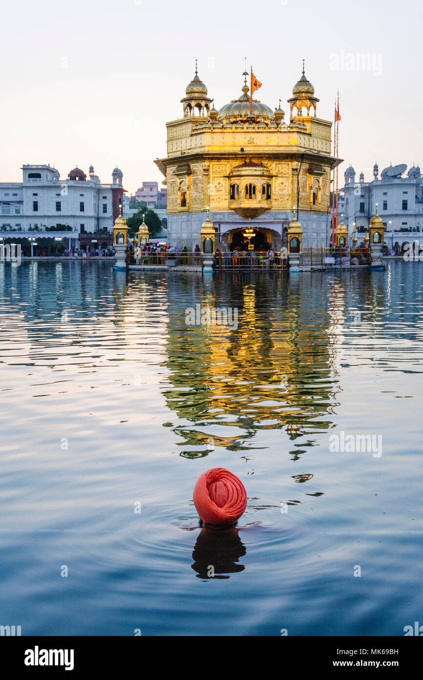 Amritsar, Punjab, India : A Sikh man takes a holy dip at the  Amrit Sarovar (Pool of Nectar) of the Golden Temple illuminated at dusk. Stock Photo