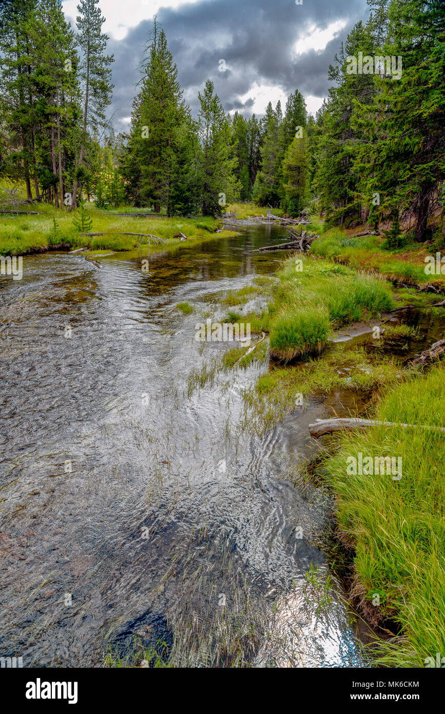 Slow running river heading into green forest under cloudy skies. Stock Photo