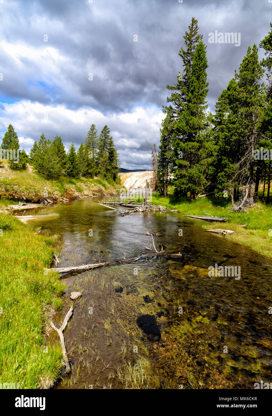 Slow running river heading into green forest under cloudy skies Stock ...