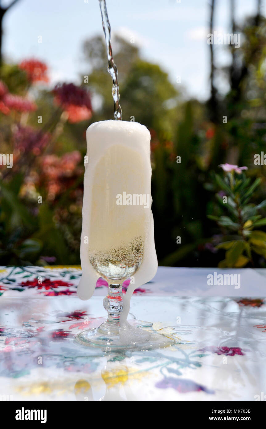 OVER FLOWING GLASS OF CHAMPAGNE Stock Photo