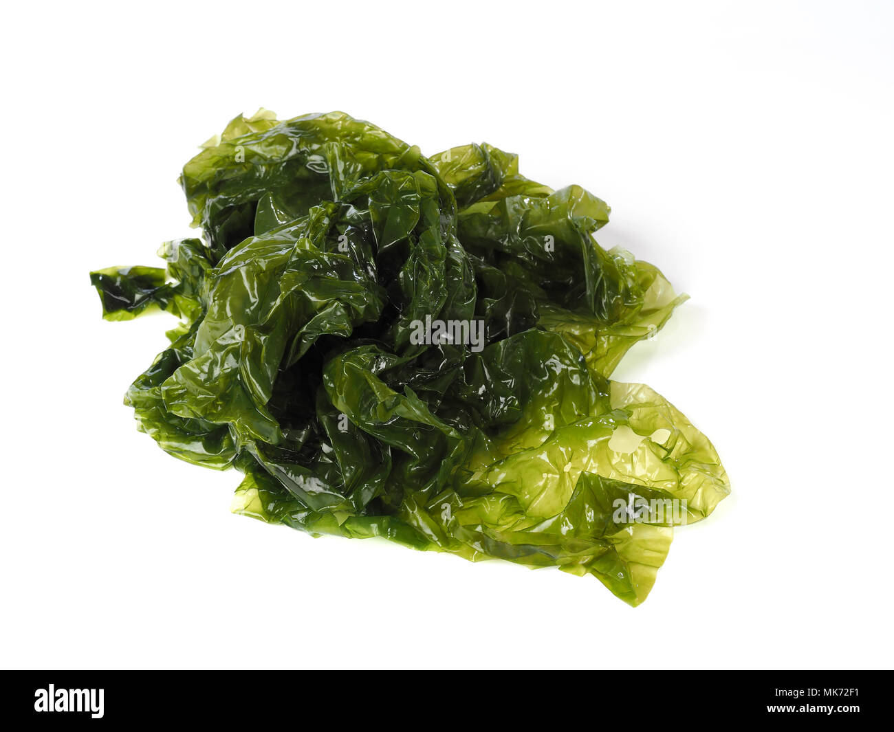 Sea lettuce – Lechuga de Mar  Edible green algae in the family Ulvacceae. Binomial name: Ulva lactuta. Stock Photo